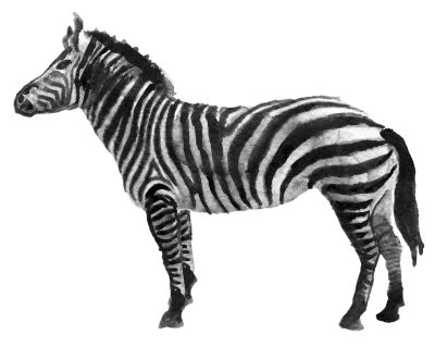 Fotobehang Geschilderde zebra op een lichte achtergrond