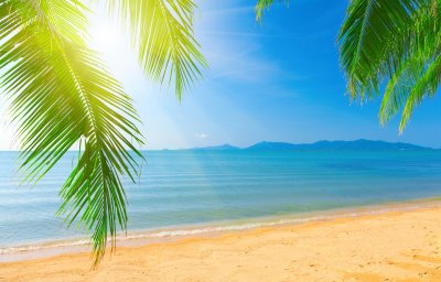 Fotobehang Uitzicht op de tropen en de oceaan