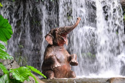 Fotobehang Olifant en een waterval in de jungle